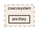 ancillary